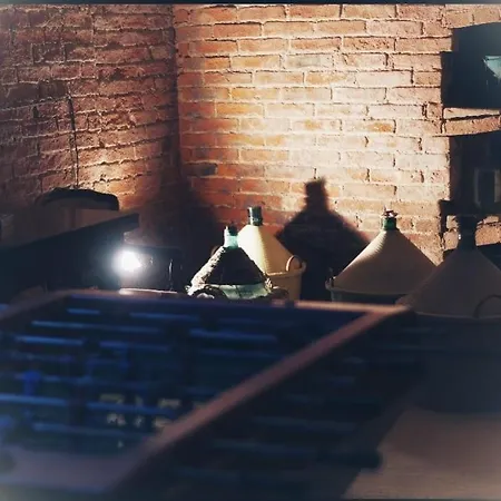 Lägenhet La Cantina Vecchia Vigliano d'Asti