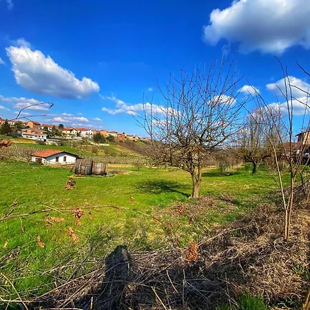 La Cantina Vecchia *